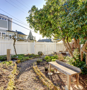 板凳小后院花园