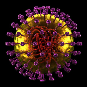 麻疹细胞  微生物学详细视图  孤立的黑色