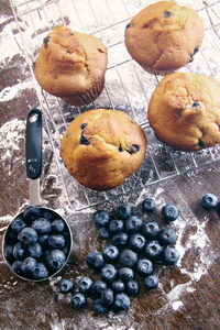 蓝莓松饼烤盘架