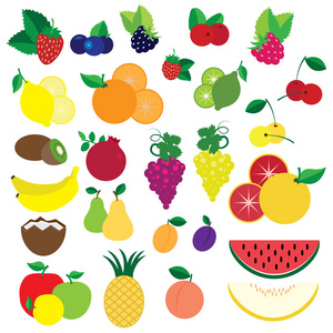 五颜六色的水果和浆果矢量