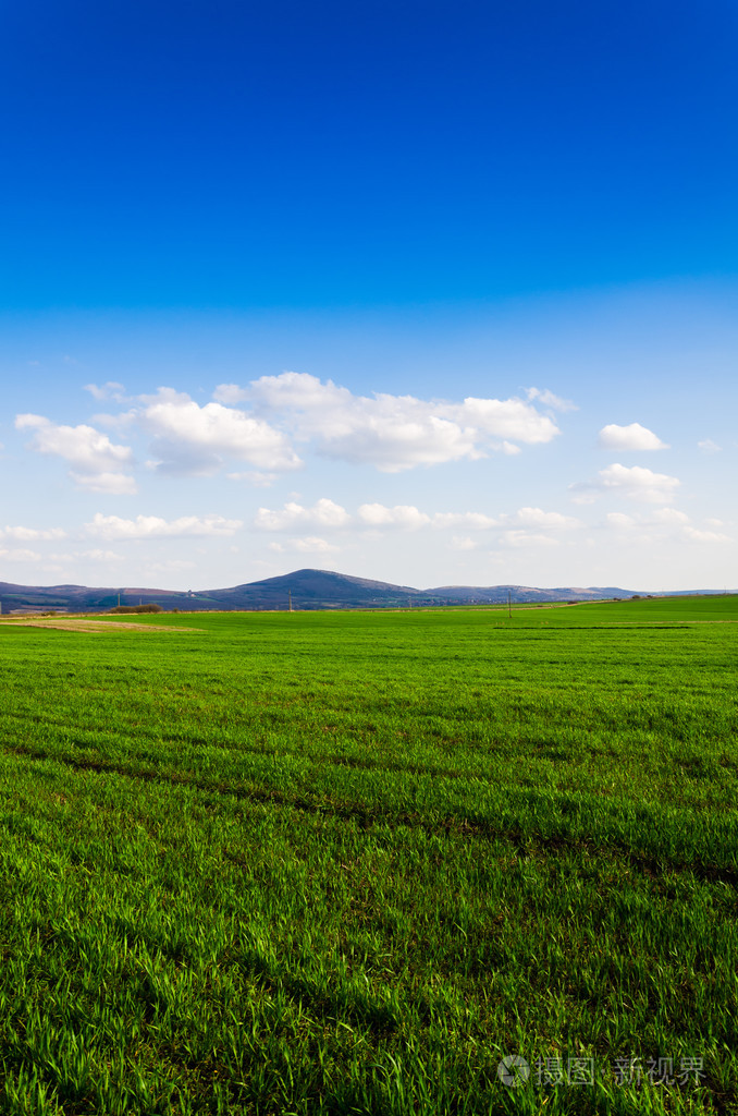 绿色的原野