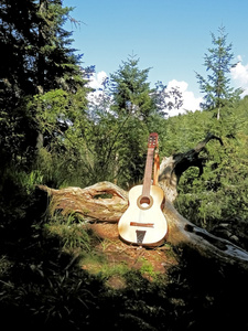 山里的吉他比与自然和谐相处的吉他