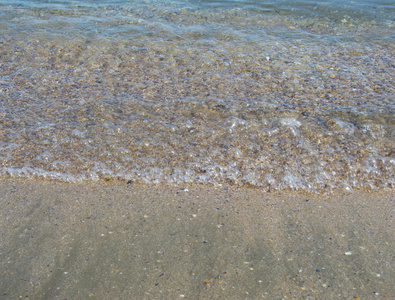 海滩和热带海