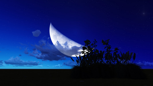 月亮的夜晚图片