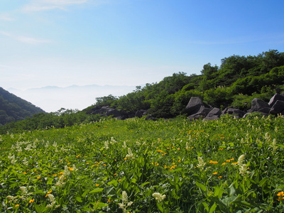 senjojiki 太阳剧团在装载 kisokoma 在长野县，日本