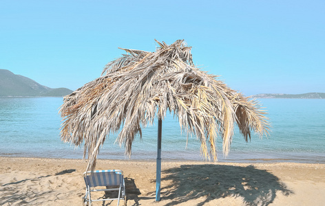 棕榈沙滩伞