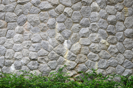 小小的绿树褐色石材板墙