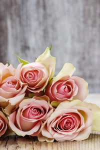 柔和粉红玫瑰的木制背景