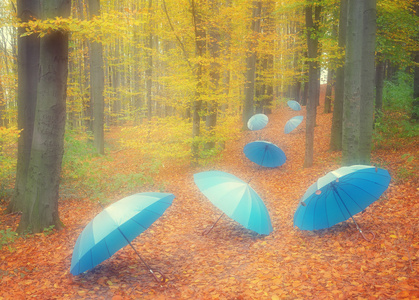 在木材中的遮阳伞