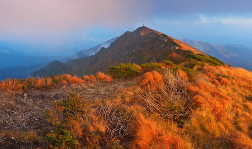 黎明时分山风景