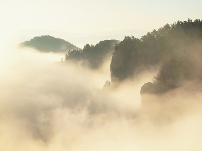 在岩石公园充满了厚厚的云层的浓雾深迷雾笼罩的山谷。砂岩峰林增至雾背景，太阳光线改变它的颜色