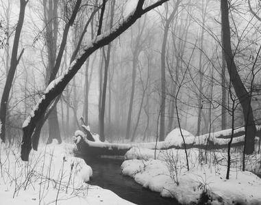 下雪在公园里的景观