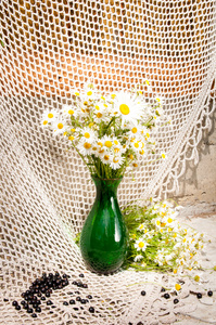 chamomiles 在一个绿色的花瓶静物