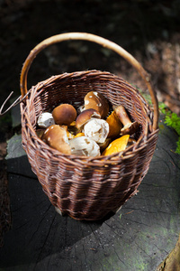 满篮子里的蘑菇