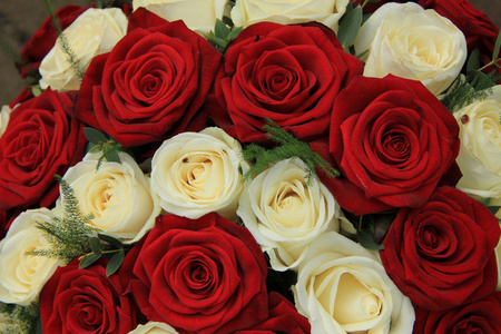 红色和白色的玫瑰花，在婚礼的安排