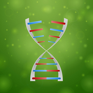 dna 和 rna