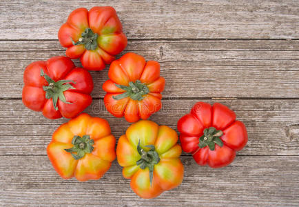 花园长凳上的意大利番茄传统品种