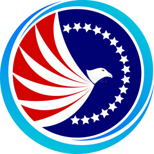 美国白头鹰照片
