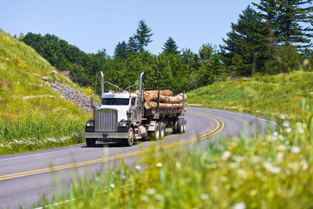 绿色公路上的大型木材半卡车