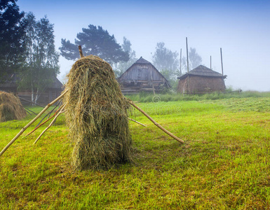 在喀尔巴阡村做干草。