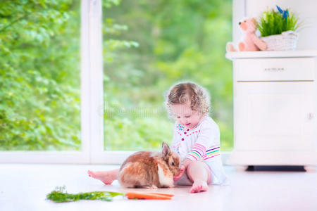 小女孩在玩兔子