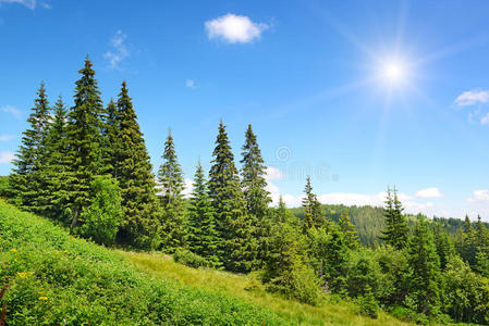 高山与阳光