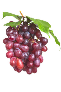 把新鲜成熟的红葡萄串在一起。