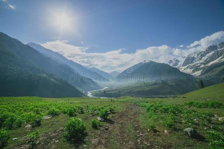 落基山脉和绿地