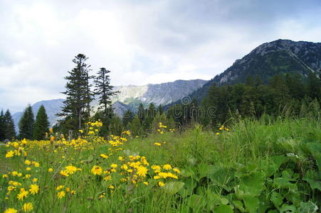 蓝黄绿阿尔卑斯山全景