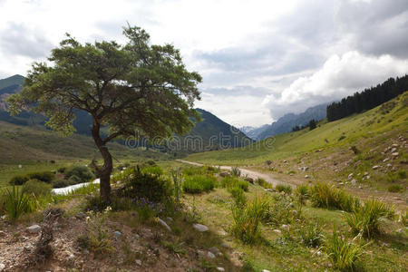 吉尔吉斯斯坦山