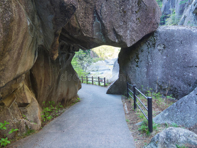 在日本山梨的kofu，新鲜的绿色的shosenkyo峡谷