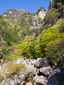 在日本山梨的kofu，新鲜的绿色的shosenkyo峡谷