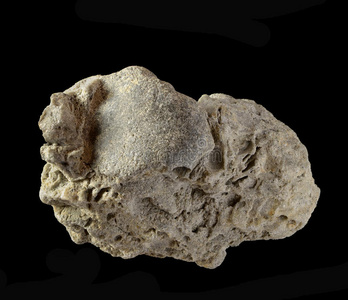 方解石胶结图片