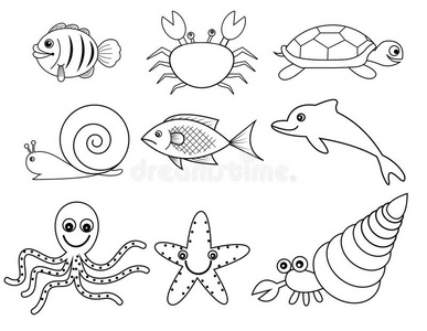 海洋和贝壳类动物