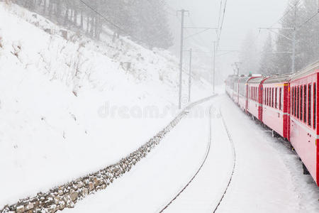 在雪地里训练