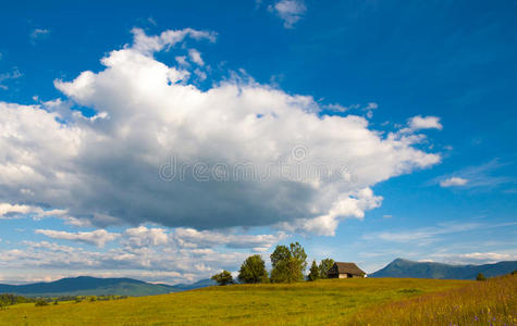 夏天 天空 旅游 松木 牧场 情景 目的地 全景 山体 土地