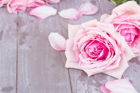 桌上的粉红色玫瑰