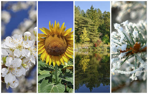 春夏秋冬真实四季照片图片