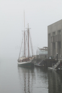 在雾蒙蒙的早晨停靠码头
