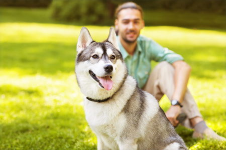 男人和赫斯基狗在公园散步照片