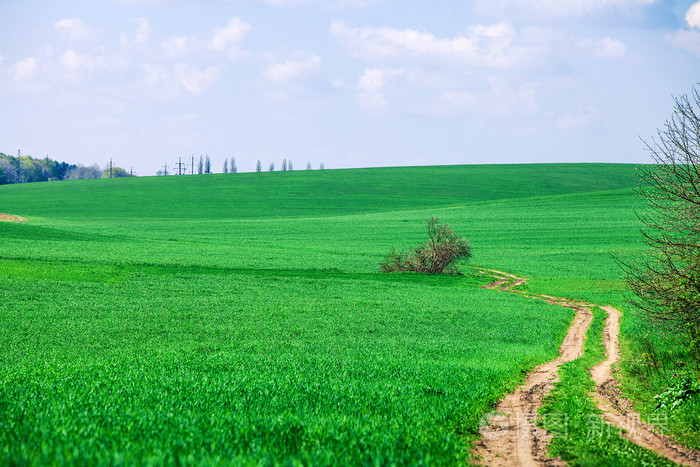 绿色的田野蓝色天堂