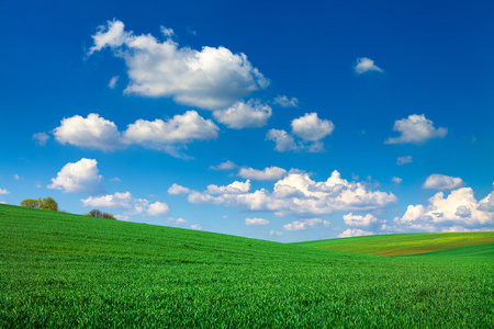 绿色的田野 蓝色天堂