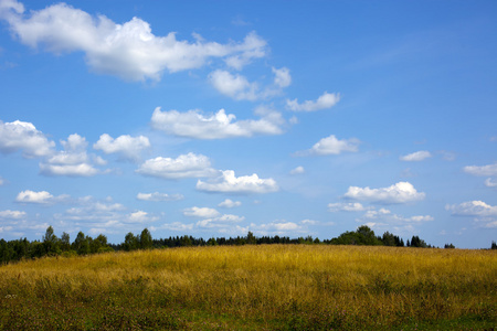 蓝色天空下的绿色草地与白色的云