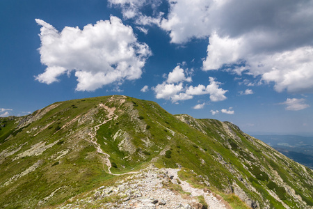 令人惊奇的夏季山