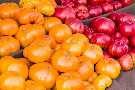 传家宝西红柿市场展出