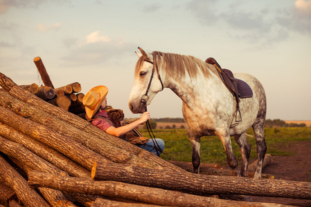 牛仔和马在木材上