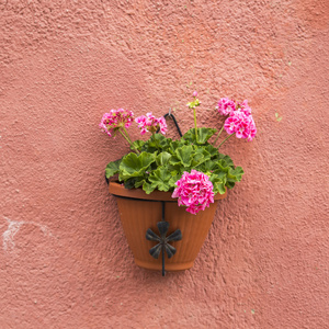 墙上的彩色花盆