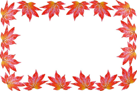 枫叶秋框架和背景