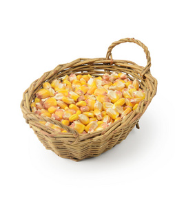 在篮子里的玉米种子