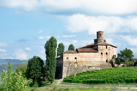 la 沃尔特旧城堡，在意大利 langhe wineyar 在巴罗洛